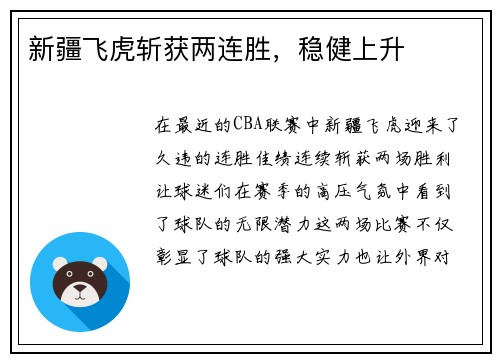 新疆飞虎斩获两连胜，稳健上升